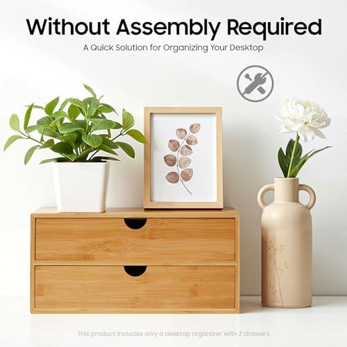 Bamboo Desk Organizer with 2 Drawers, Natural Wood Tabletop Storage Box | No-Assembly Countertop Drawer for Office Home Makeup Jewelry Stationery