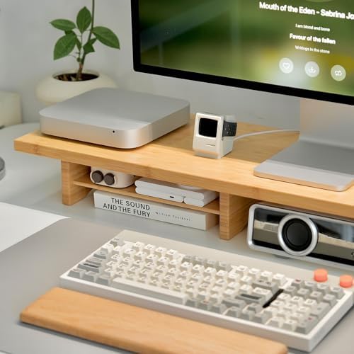 Bamboo Dual Monitor Stand Riser, 2-Tier Desk Shelf with Storage