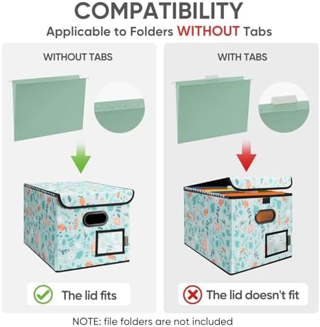 BALEINE File Organizer Box with Lid, Collapsible Hanging File Storage Box