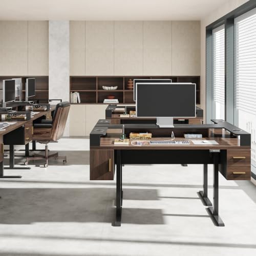 61'' x 25.5'' Electric Standing Desk with 2 Drawers, Dual Cup Holders