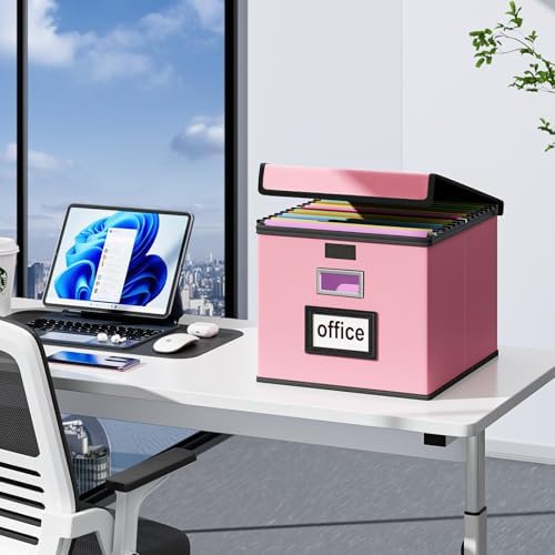 File Organizer Box with Lids, Collapsible File Folder Organizer