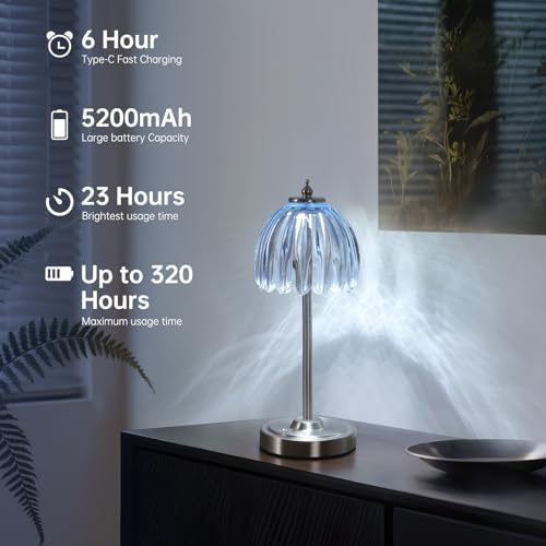 Shenmoyl Rechargeable Table Lamp with 5200mAh Battery & Touch Control - 3 Adjustable Color Temperatures, Cordless Dimmable Table Light for Bedroom, Office Desk, Nightstand(Clear Light Blue,1 Pack)