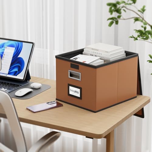 File Organizer Box with Lids, Collapsible File Folder Organizer