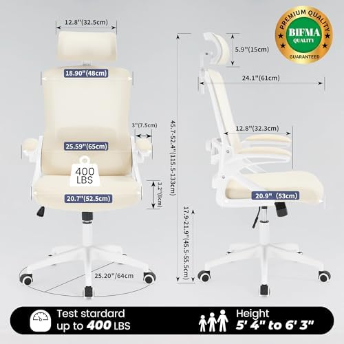 Ergonomic Office Chair, Mesh Desk Chair with Adjustable Lumbar Support