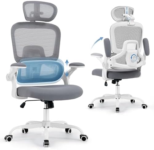 Office Chair with Adjustable Lumbar Support, Ergonomic Desk Chairs, Grey