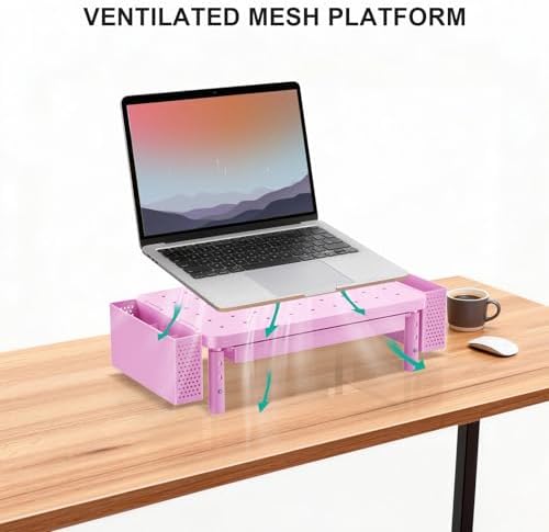 WALI Computer Monitor Stand with Storage and Pen Holder