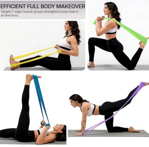 Exercise Bands，Set of 6 Resistance Bands for Working Out,Pull Up Bands Set,at Home Workout Equipment,Instruction Guide and Carry Bag Included