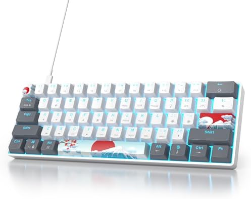 Owpkeenthy RGB Mechanical Keyboard 60 Percent Red Switches