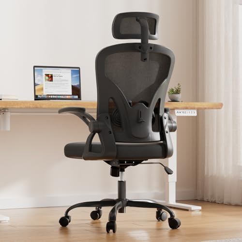 Farini Ergonomic Office Chair, Home Office Desk Chair with Headrest, High Back Swivel Computer Chair with Armrests and Adjustable Lumbar Support for Home Office Study Room, Black & Dark Black