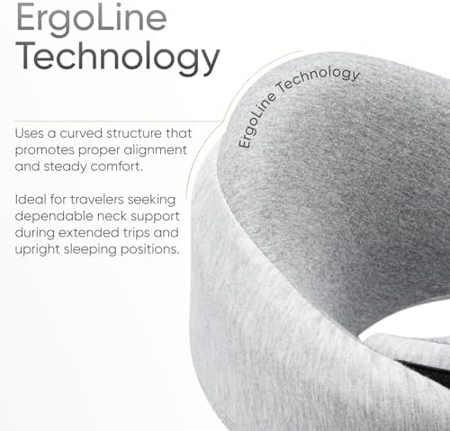 Proglobe Luxe Memory Foam Travel Pillow, Organic Cotton Cover, Light Gray