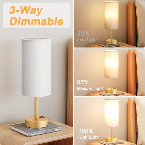 Touch Bedside Lamps for Nightstand - 14" Gold Desk Lamp with USB Ports