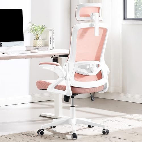 Fizzin Pink Office Chair, Desk Chair with Adjustable Lumbar Support