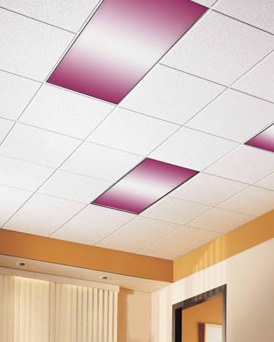 Rose Red Magnetic Fluorescent Light Covers for Ceiling Lights 2 x 4 Feet,White Gradient Minimalist Geometric Aesthetics Office Classroom Kitchen Drop Ceiling Light Covers Lighting Filter Shade 2 Packs