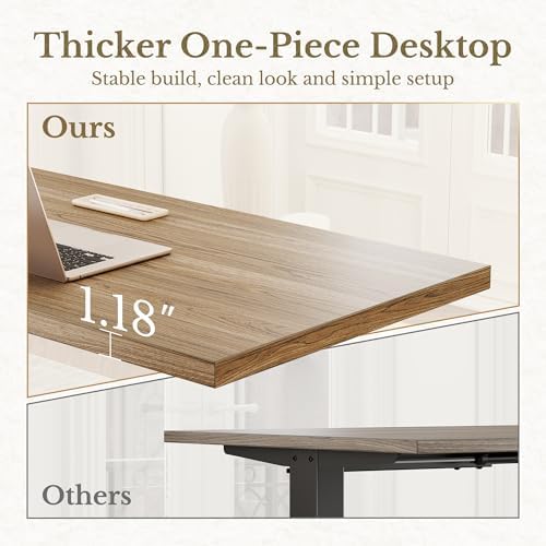 ErGear 48 X 24 Inch Height Adjustable Electric Standing Desk, Natural Oak