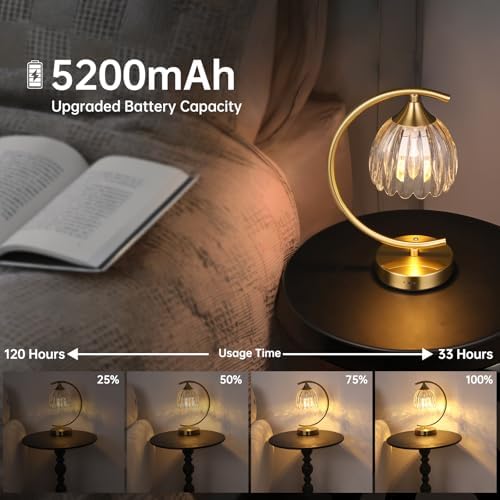 Shenmoyl Set of 2 Tulip Table Lamp, 5200mAh Cordless Touch Control Table Lamp with 3 Color Temps & Stepless Dimming, Rechargeable Battery Table Lamp for Living Room, Bedroom, Shelf (Transparent Tulip)