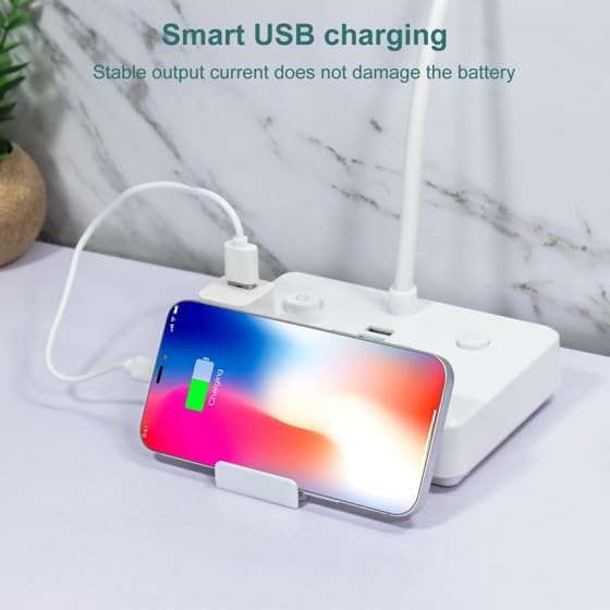 LED Desk Lamp with 4 AC Outlets, 2 USB Charging Ports, Gooseneck, Dimmable, 4ft Cord for Reading, Working, Studying