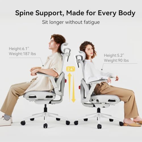 SIHOO B300 Pro Ergonomic Office Chair Without Footrest, 4D Lumbar Support