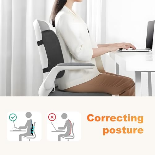 CILI Lumbar Support Pillow for Office Chair with Heat Vibration,Heated Back Support Pillow,Chair Massager for Back Pain Relief,Back Rest Cushion Pillow for Desk Sofa Home,Gifts for Women Men Mom Dad