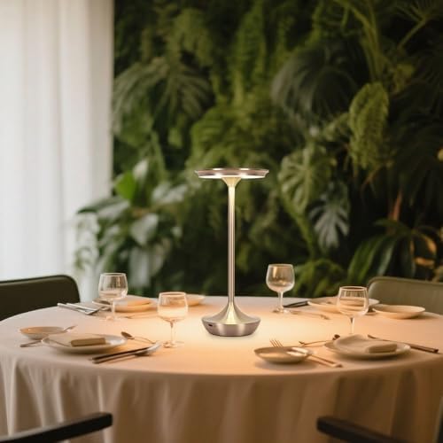 LED Cordless Table Lamp Rechargeable,Portable 6000mAh Battery Outdoor Bedside Table Lamps,3 Color Stepless Dimming Touch Battery Powered Lamp, Table Light for Restaurant/Patio/Camping/Bedroom(Silver)