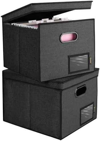BALEINE File Organizer Box with Lid, Collapsible Hanging File Storage Box