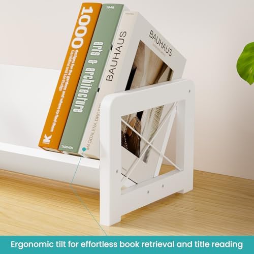 ELITEROO Mini Bookshelf for Desk, Desktop Bookcase, Single Cookbook Shelf, Tabletop Book Storage Rack, Tiny Book Organizer for Book Display & Storage, White