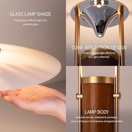 Aisilan 12W LED Gold Desk Lamp, Plug-in Touch Dimmable Bedside Light with Pure Brass, Frosted Glass & White Ash Wood, Mid-Century Modern Design