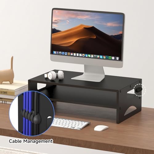 Pholiten 2-Tier Monitor Stand Riser for desk