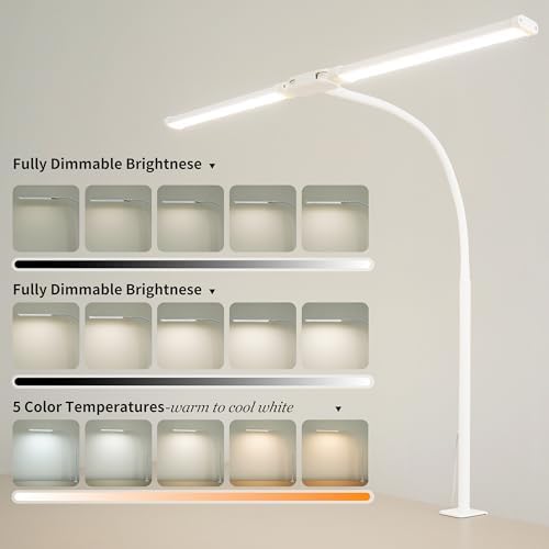 Dual-Head LED Desk Lamp for Office Home, Adjustable Flexible Eye-Caring Desk Light, 5 Modes 10 Brightness Adjustment, USB Adapter Desk Lamp with Clamp-ST-W