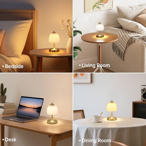 Shenmoyl Set of 2 Tulip Table Lamp with 5200mAh Battery & Touch Control, Cordless Small Table Lamp with 3 Colors, Rechargeable Battery Operated Table Lamps for Nightstand, Bedroom (White Tulip)