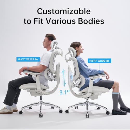 SIHOO Doro C300 Pro V2 Ergonomic Office Chair, Full-Body Adaptive Support