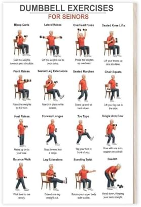 Dumbbell Exercises for Seniors Seated Chair Strength Workout Balance And Stability Training Canvas Poster Bedroom Decor Room Decor Unframe 12x18inch