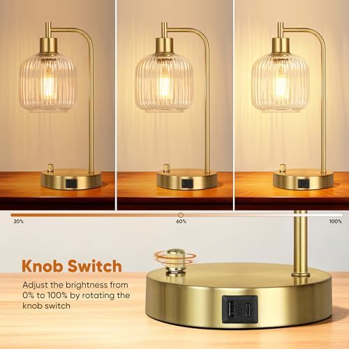 Clear Glass Table Lamps Set of 2, Dimmable Bedside Lamps for Living Room