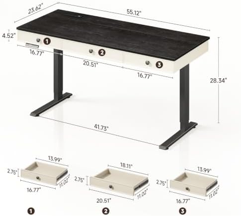 ONBRILL 55" Electric Standing Desk with 3 Drawers, Home Office Desk, Black