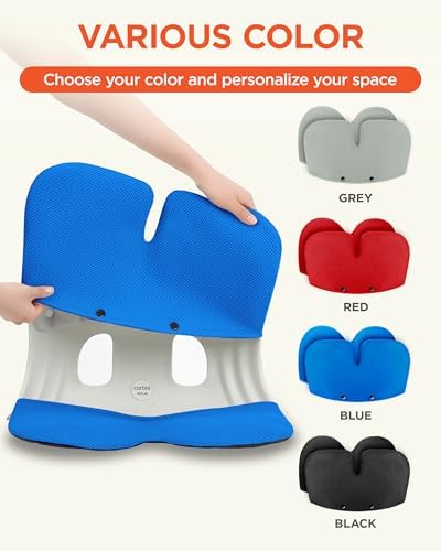 curble Grand Cover, Detachable Cover for Adult Chair, Ergonomic Chair Back Support and Lumbar Support (Blue)