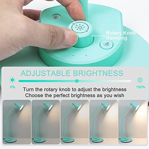 BOHON LED Desk Lamp with USB Charging Port, 3 Color Modes Dimmable, Teal