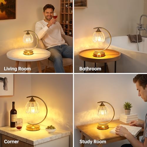 Shenmoyl Set of 2 Tulip Table Lamp, 5200mAh Cordless Touch Control Table Lamp with 3 Color Temps & Stepless Dimming, Rechargeable Battery Table Lamp for Living Room, Bedroom, Shelf (Transparent Tulip)