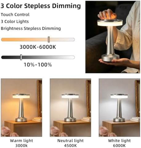 LED Portable Cordless Rechargeable Table Lamp,Silver