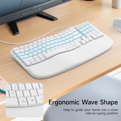 SANWA Wired Ergonomic Keyboard, Curved Wave Keyboard with Cushioned Wrist Rest, Compact Full-Size Layout, USB-A & C Port, 13 Shortcuts Keys, Natural Typing, Compatible with Win/Mac, Laptop, PC, White