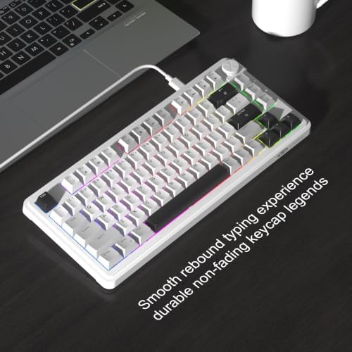 MageGee 80% Gaming Keyboard, RGB Backlit Wired Mechanical Feel Keyboard with Volume Knob, 80 Keys Compact USB Keyboard, 19-Key Rollover, Multimedia Keys for PC, Computer, Laptop, Windows