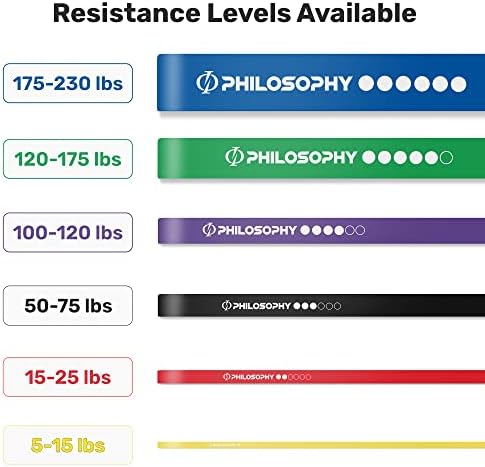 Philosophy Gym Pull Up Assist Band - Resistance Power Loop Exercise Band