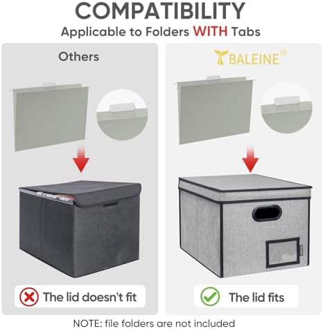 BALEINE File Organizer Box with Lid, Collapsible Hanging File Storage Box