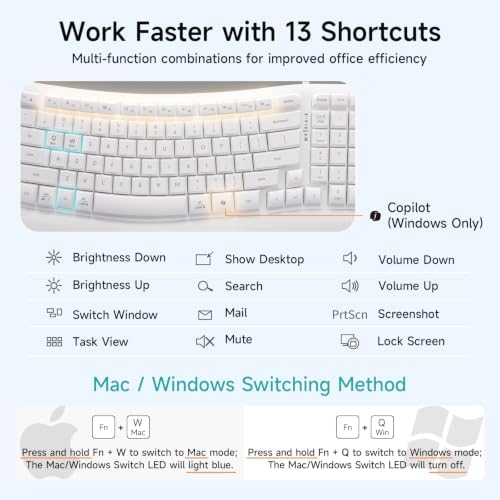 SANWA Wired Ergonomic Keyboard, Curved Wave Keyboard with Cushioned Wrist Rest, Compact Full-Size Layout, USB-A & C Port, 13 Shortcuts Keys, Natural Typing, Compatible with Win/Mac, Laptop, PC, White