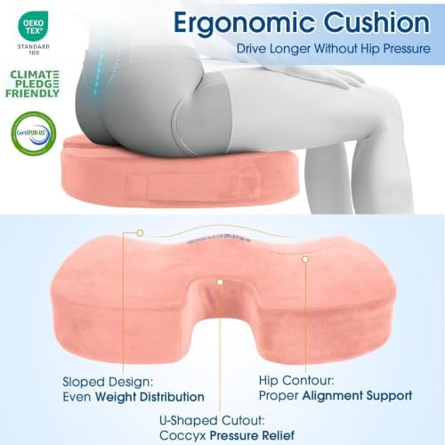 CloudBliss Ergonomic Seat Cushion & Lumbar Support Pillow Set, Pink, Large