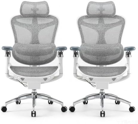 SIHOO Doro C300 Pro Ergonomic Office Chair with Ultra-Soft 6D Armrests