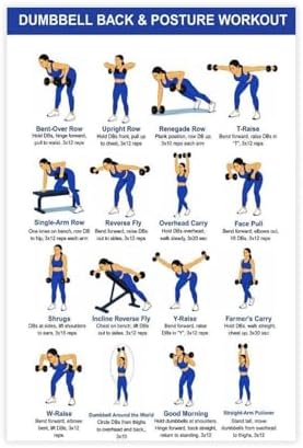 Dumbbell Back And Posture Workout Upper Back Strength Training Exercises Chart Beginner Friendly Fitness Canvas Poster Bedroom Decor Room Decor Unframe 20x30inch