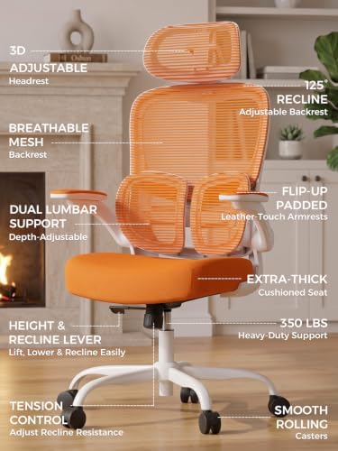 Ergonomic Office Desk Chair, Adjustable Dual Lumbar Support & Thick Seat