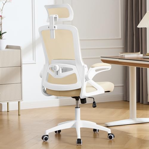 Ergonomic Office Chair, Mesh Desk Chair with Adjustable Lumbar Support