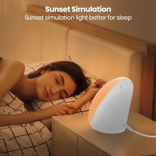 LASTAR Sun Lamp, 10,000 Lux Sunlight Lamp with 4 Color Temperatures & 5 Brightness & 1H Timer, Touch Control Daylight Lamp with Memory Function for Home