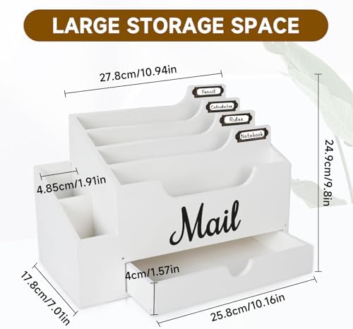 Wood Desk Organizer, Mail Organizer Countertop with 2 Pen Holders