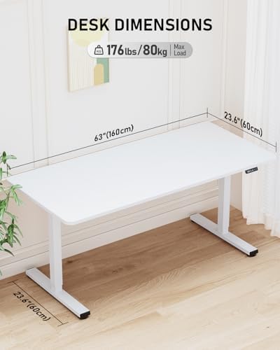 63" Large Electric Standing Desk Adjustable Height for Home Office
